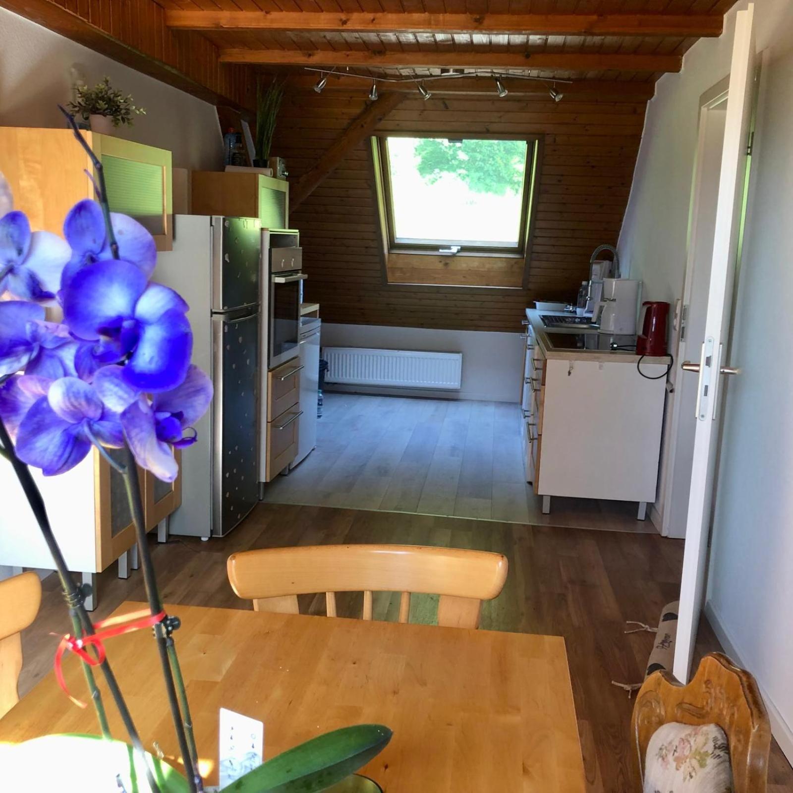 Hotel Ferien Im Schwarzwald Freiamt Zewnętrze zdjęcie
