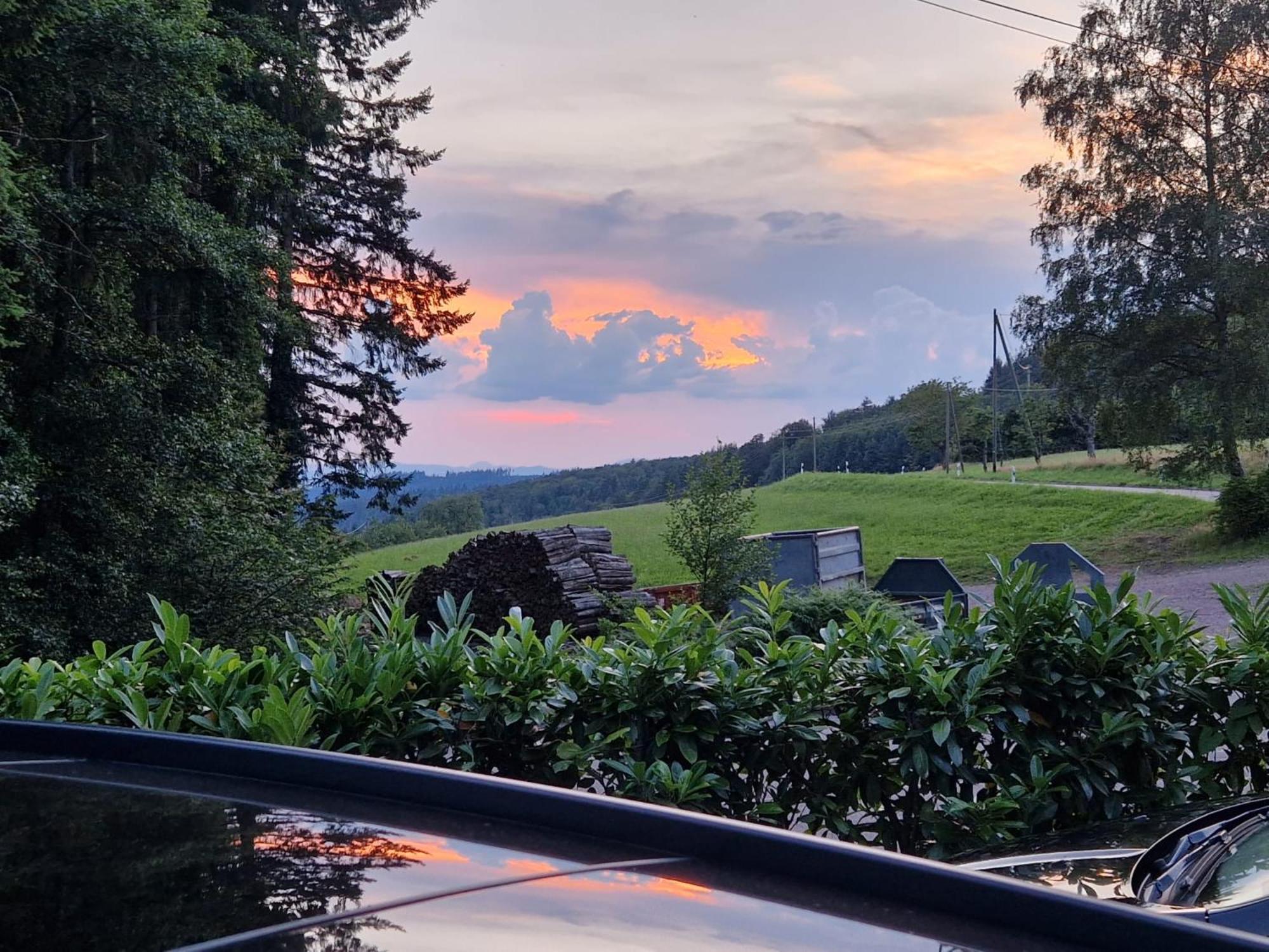 Hotel Ferien Im Schwarzwald Freiamt Zewnętrze zdjęcie