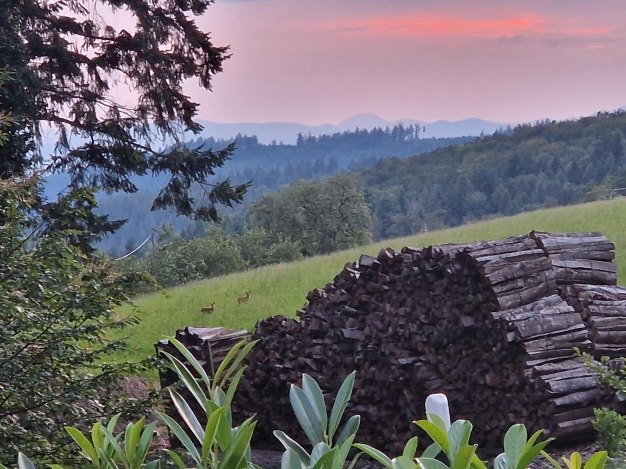 Hotel Ferien Im Schwarzwald Freiamt Zewnętrze zdjęcie