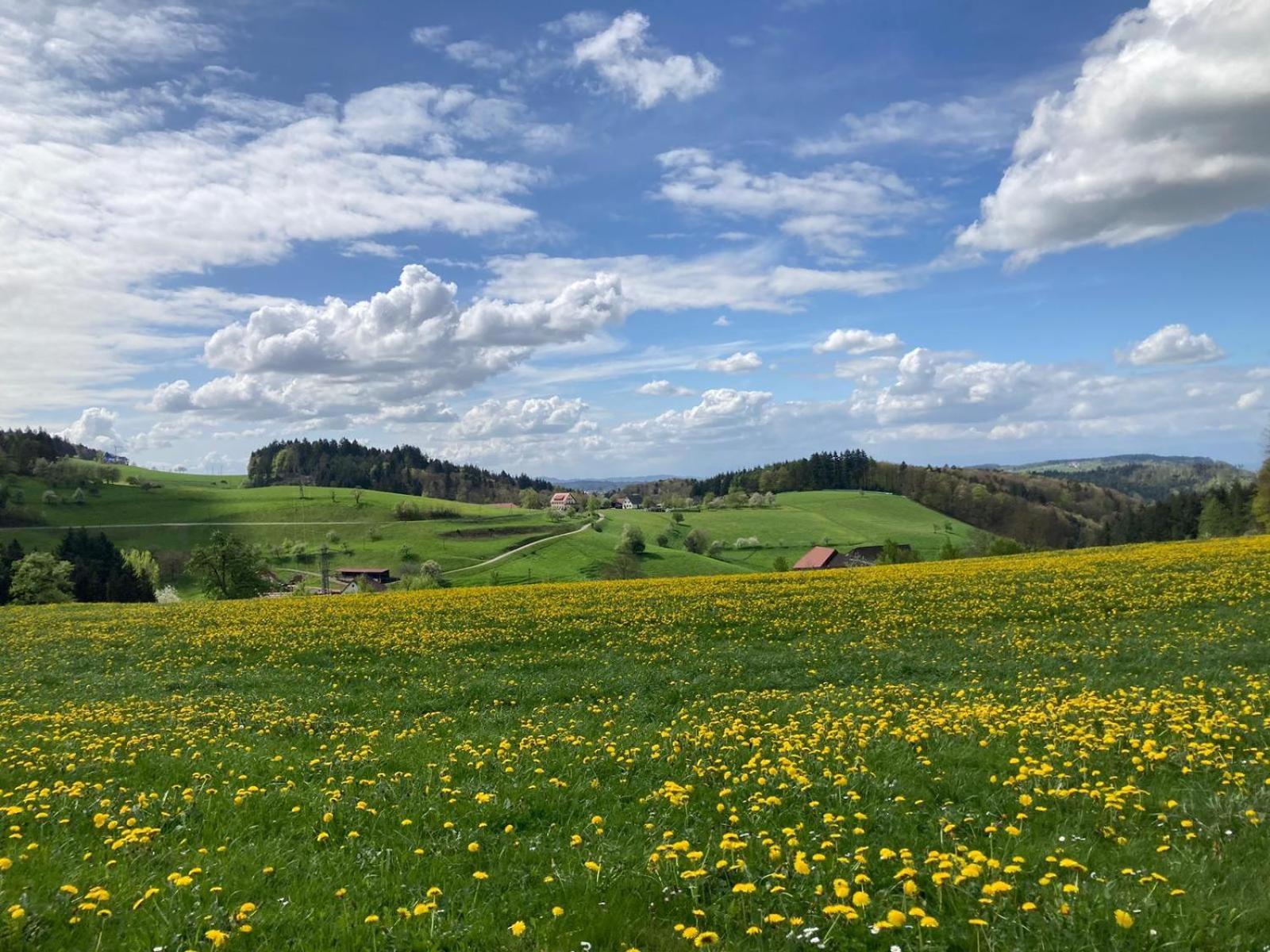 Hotel Ferien Im Schwarzwald Freiamt Zewnętrze zdjęcie