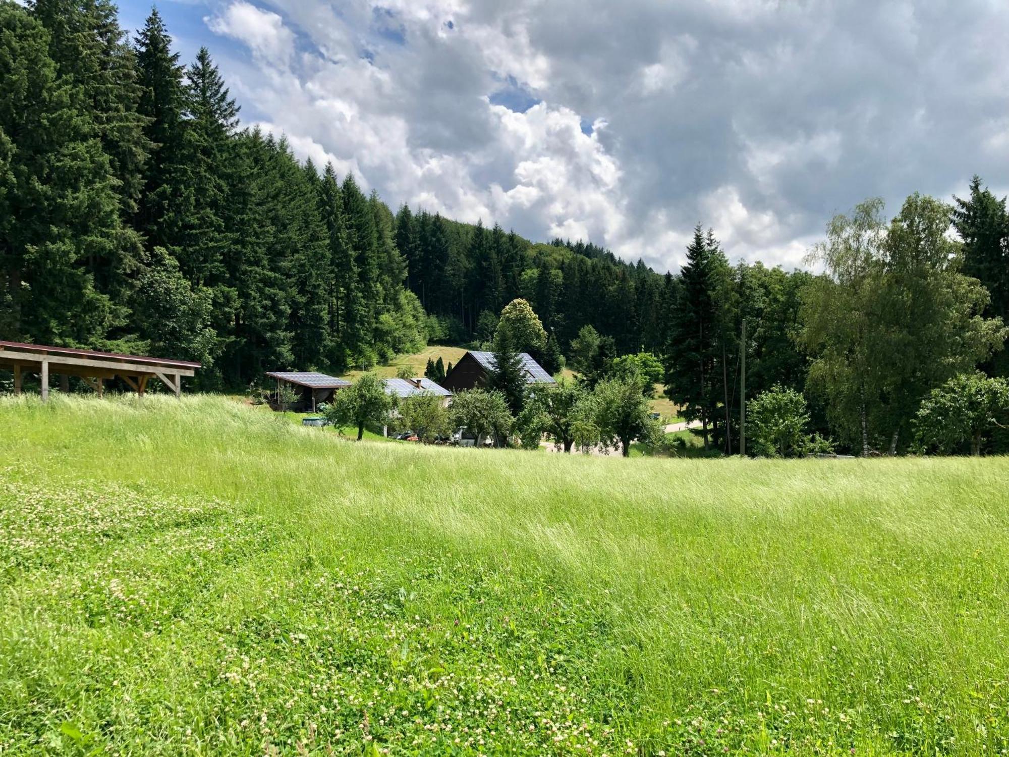 Hotel Ferien Im Schwarzwald Freiamt Zewnętrze zdjęcie