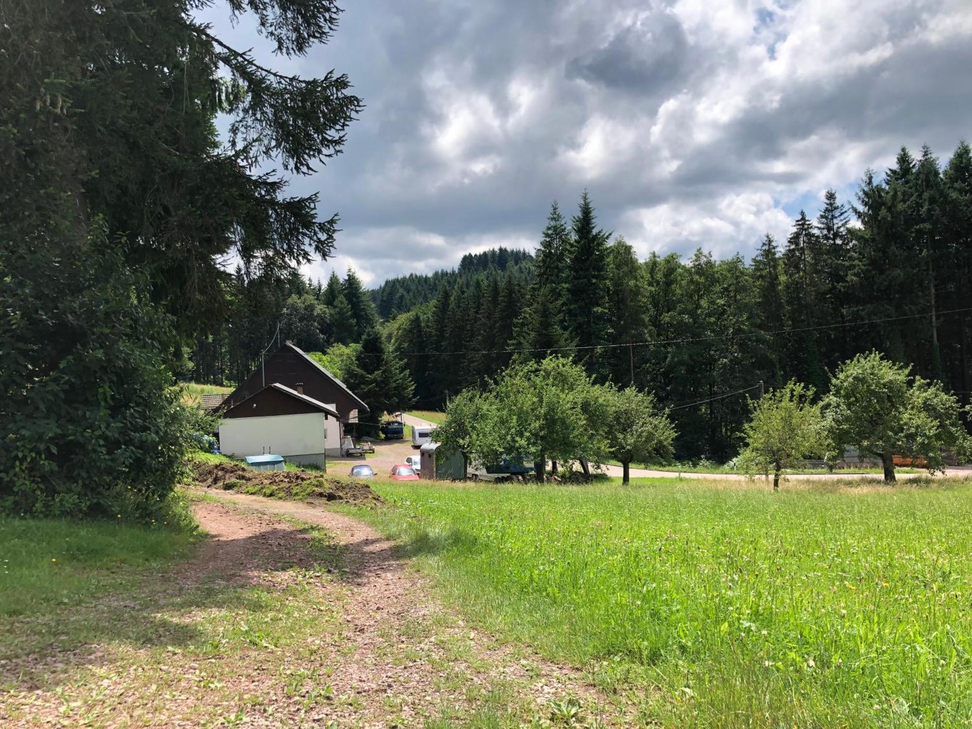 Hotel Ferien Im Schwarzwald Freiamt Zewnętrze zdjęcie
