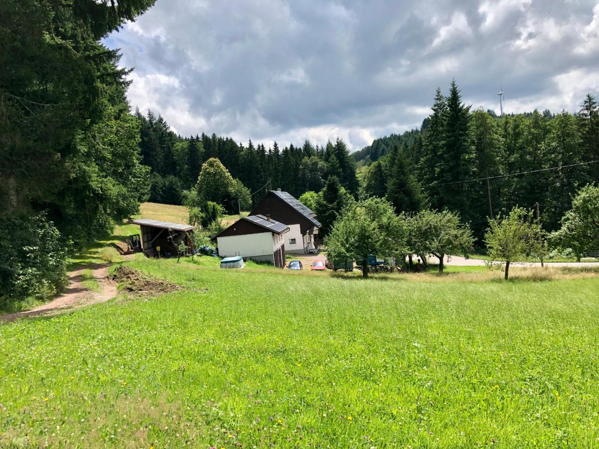 Hotel Ferien Im Schwarzwald Freiamt Zewnętrze zdjęcie