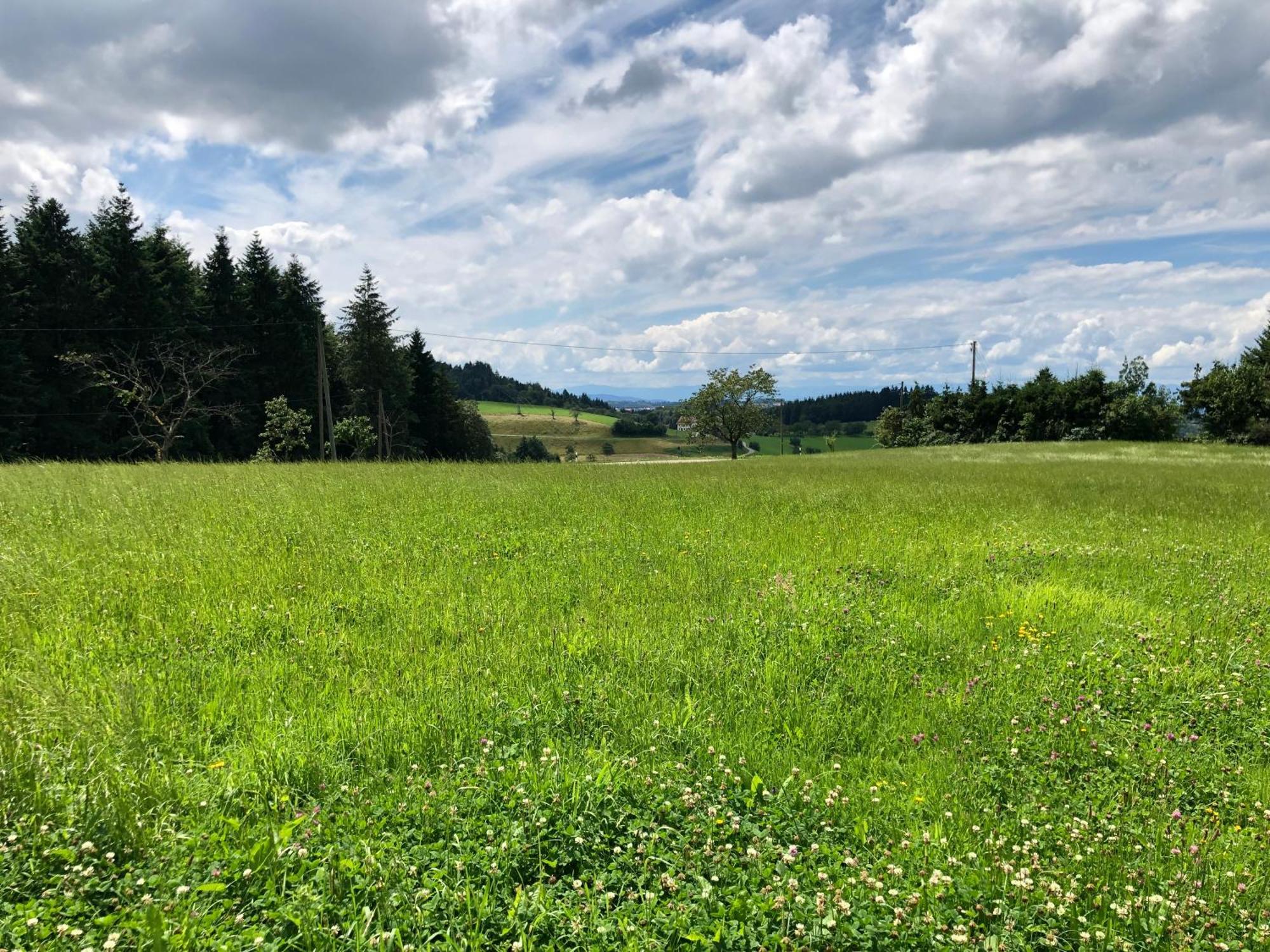 Hotel Ferien Im Schwarzwald Freiamt Zewnętrze zdjęcie